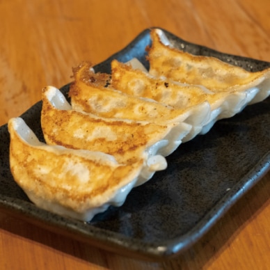餃子通販セット「肉肉三昧」お肉好きにはたまらない | 餃子専門 餃子通販セット「肉肉三昧」お肉好きにはたまらない | 餃子専門